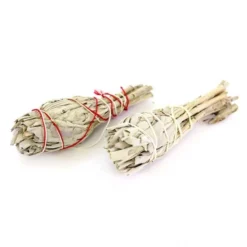 Incenso Salvia Del Deserto 12x3 Cm - Confezione 2 Pezzi -Vendite Consumabili 17000189 incenso salvia del deserto 12x3 cm confezione 2 pezzi c 550x550 1