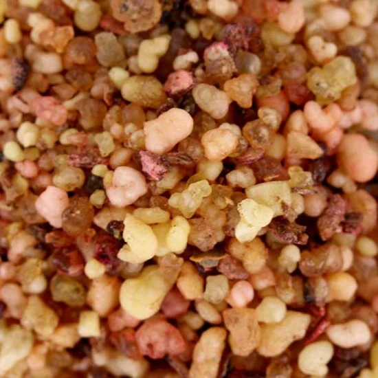 Confezione Incensi Evangelisti 4 Pezzi 25 G 5 Confezione Incensi Evangelisti 4 Pezzi 25 G - immagine 5