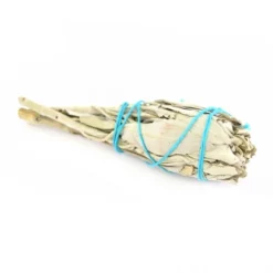 Smudge Salvia Bianca Naturale California E Tulipani 15 G -Vendite Consumabili 17000285 smudge salvia bianca naturale california e tulipani 20 gd 550x550 1