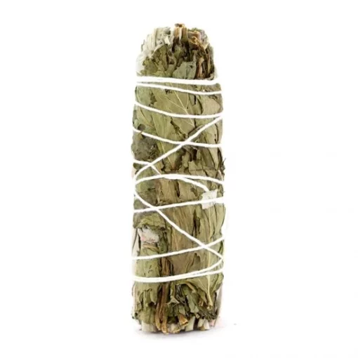 Smudge Salvia Bianca Naturale California 30 G 5 Smudge Salvia Bianca Naturale California 30 G -Vendite Consumabili 17000286 smudge salvia bianca naturale california 30 ga 550x550 1