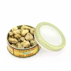 Incenso In Resina Sal Tree 60 G -Vendite Consumabili 17000372 incenso in resina sal tree 60 gc 550x550 1