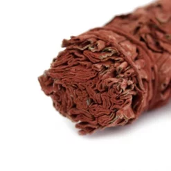Smudge Salvia Bianca Con Sangue Di Drago 40-45 G 13 Cm -Vendite Consumabili 17000408 smudge salvia bianca con sangue di drago 40 45 g 13 cmb 550x550 1