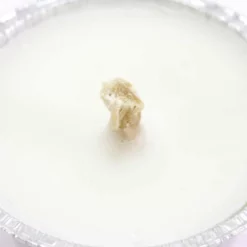 Candela Cera Bianca In Alluminio Diametro 8 Cm -Vendite Consumabili 1720070 candela cera bianca in alluminio diametro 8 cmc 550x550 1