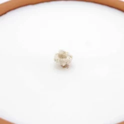 Candela Cera Bianca In Terracotta Diametro 18 Cm -Vendite Consumabili 1720072 candela cera bianca in terracotta diametro 18 cmc 550x550 1