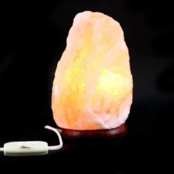 Lampada Di Sale Dell'Himalaya 19 Cm -Vendite Consumabili 1750069 lampada di sale dell himalaya 19 cmd 550x550 1