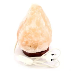 Lampada Di Sale Dell'Himalaya 19 Cm -Vendite Consumabili 1750069 lampada di sale dell himalaya 19 cme 550x550 1