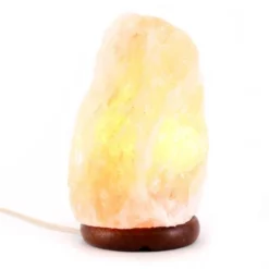 Lampada Di Sale Dell'Himalaya 19 Cm -Vendite Consumabili 1750069 lampada di sale dell himalaya 19 cmf 550x550 1