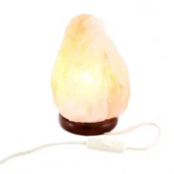 Lampada Di Sale Dell'Himalaya 19 Cm -Vendite Consumabili 1750069 lampada di sale dell himalaya 19 cmg 550x550 1