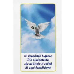 Bustina Domenica Delle Palme Colomba 11x23 Cm 200 Pz -Vendite Consumabili bustina domenica delle palme colomba 11x23 cm 200 pz2920021c 550x550 1