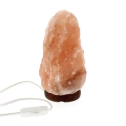 Lampada Di Sale Dell'Himalaya 21 Cm -Vendite Consumabili lampada di sale dellhimalaya 21 cm 17500126c 550x550 1