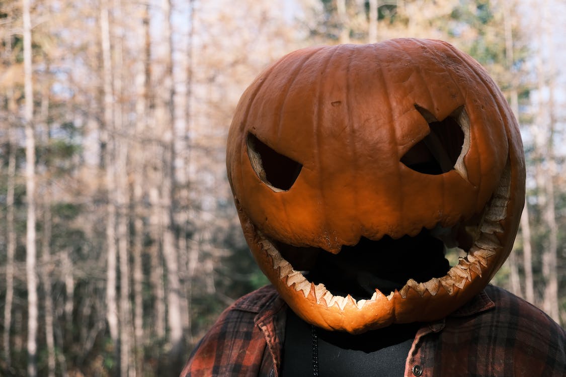 Vendite Consumabili 34 Vendite Consumabili -Vendite Consumabili pexels photo 14226067